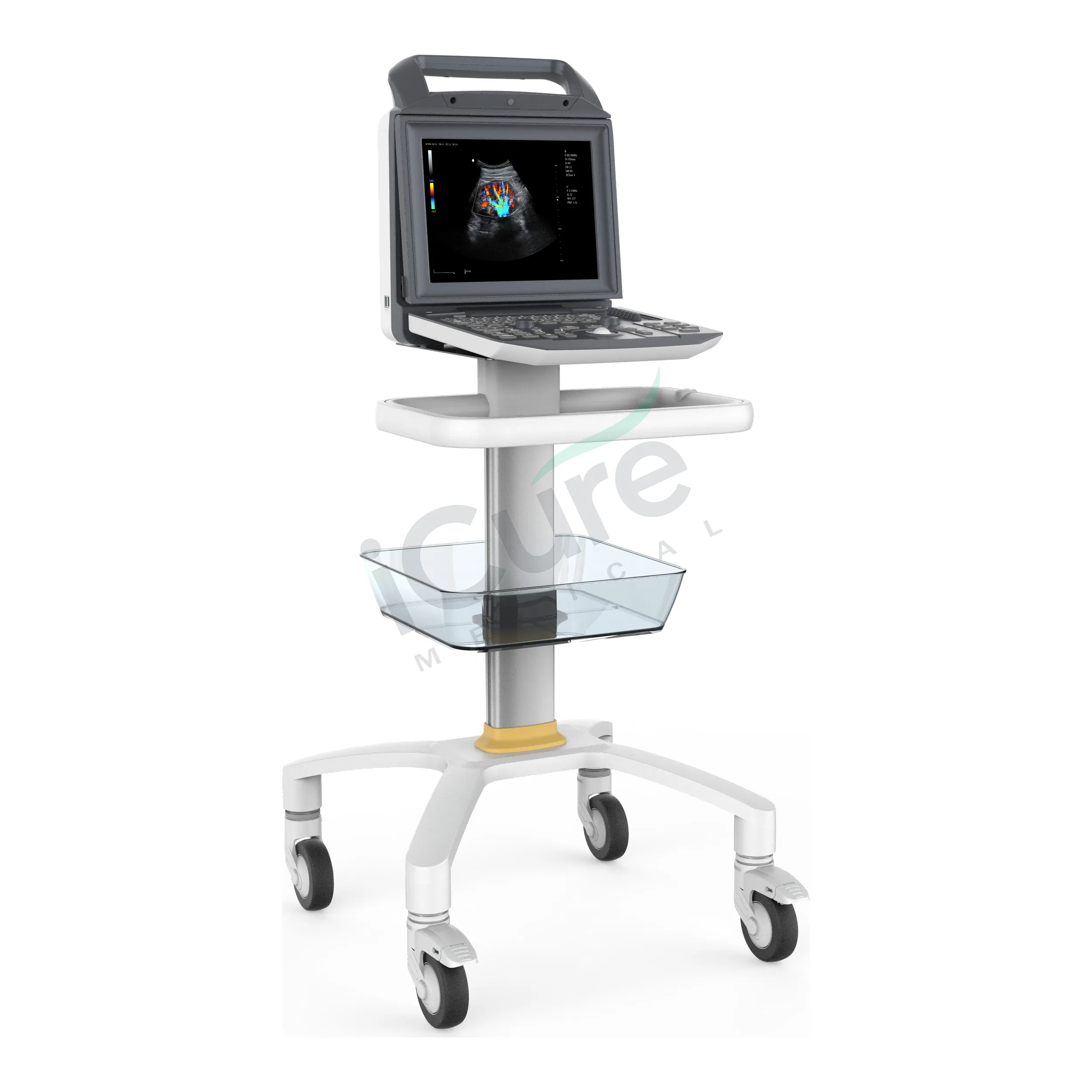 Sistema de ultrasonido Doppler en color portátil de 12 pulgadas con Cw Pw