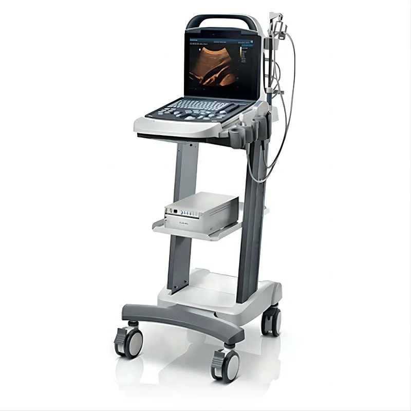 DP-30 Vista 3