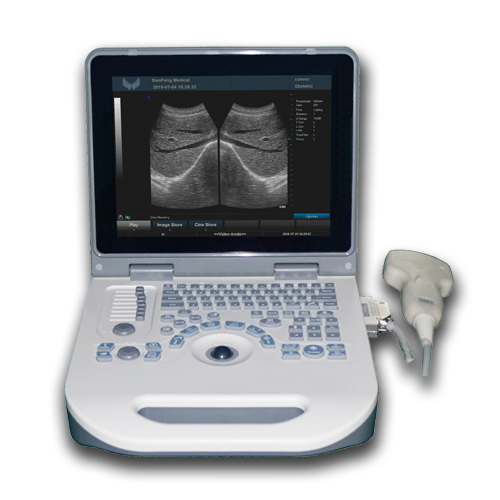 Equipo de diagnóstico médico veterinario digital completo, escáner ultrasónico portátil para laptop