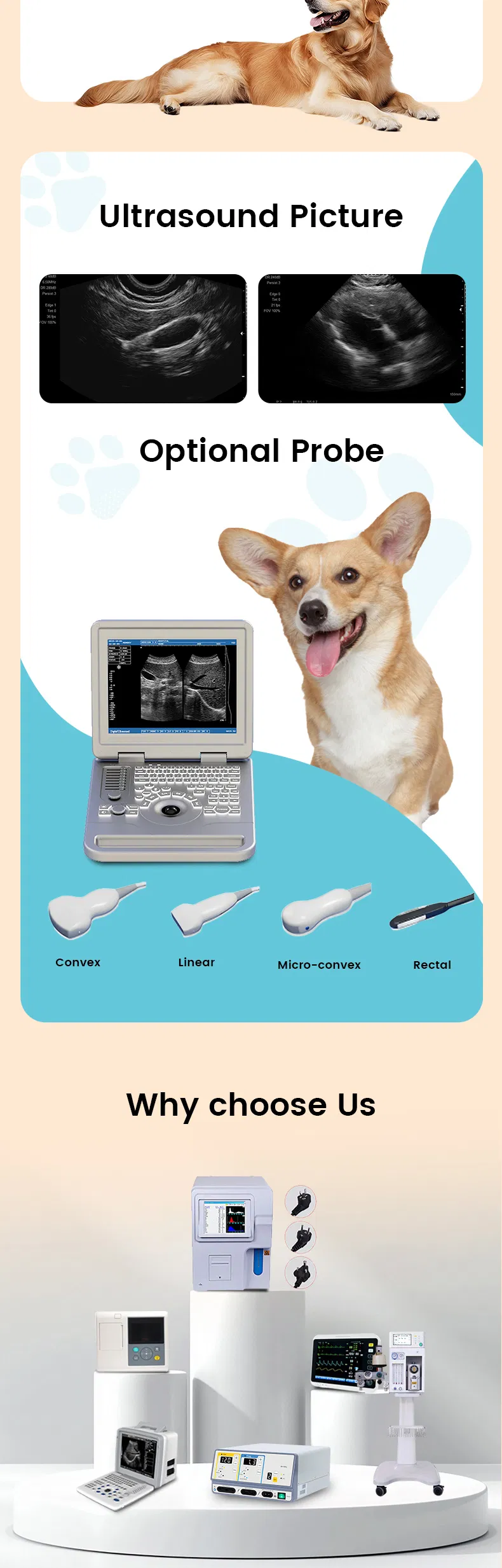 Equipos Veterinarios Ultrasonido 2