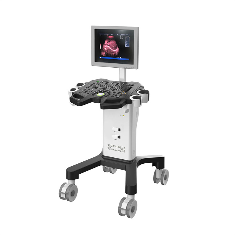 Máquina de diagnóstico ultrasónico digital en blanco y negro de fábrica directa