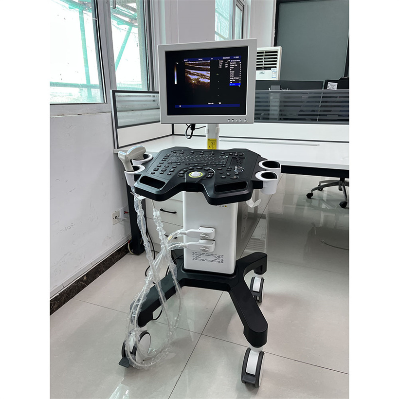 Máquina de diagnóstico ultrasónico digital en blanco y negro de fábrica directa