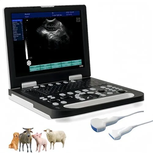 Diagnóstico de salud animal
