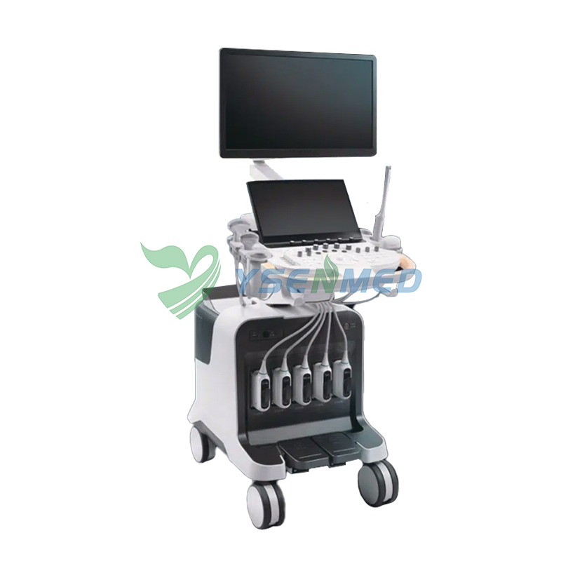 Sistema de Ultrasonido Doppler Color de Hospital Médico P80