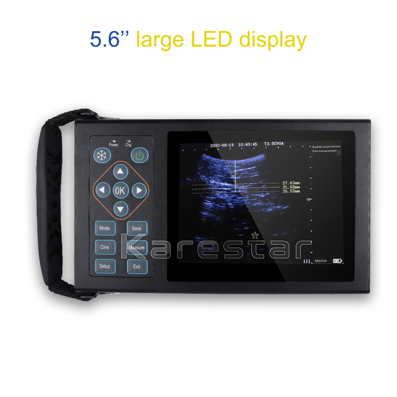 Máquina de ultrasonido veterinario digital portátil de mano para diagnóstico de animales, máquina de ultrasonido para ovejas