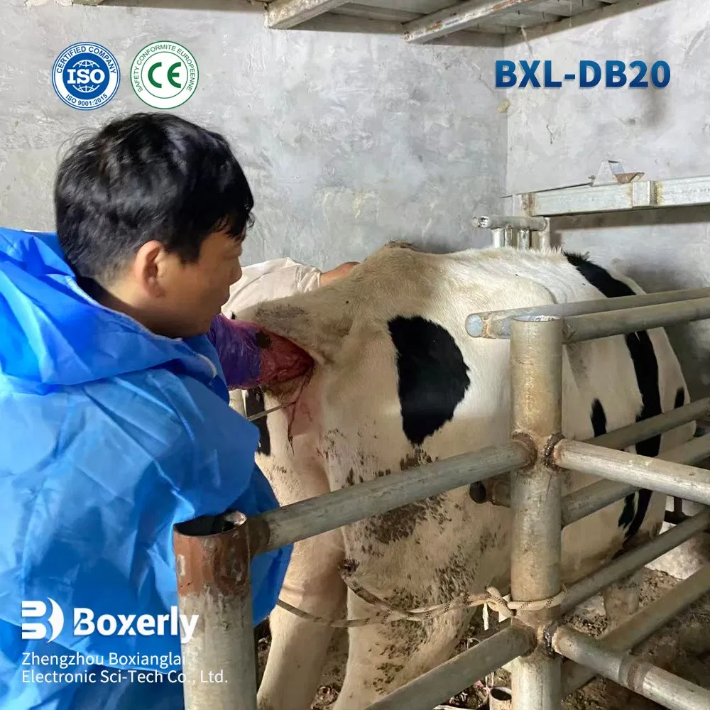 Bxl-Db20 Sistema de Ultrasonido Veterinario Asistido por Ai para la Recuperación de Oocitos Bovina en Granjas Lecheras