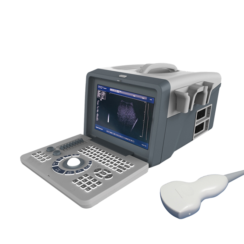 Máquina de ultrasonido Doppler color para obstetricia y ginecología de alta calidad con carro de doble pantalla 4D 5D