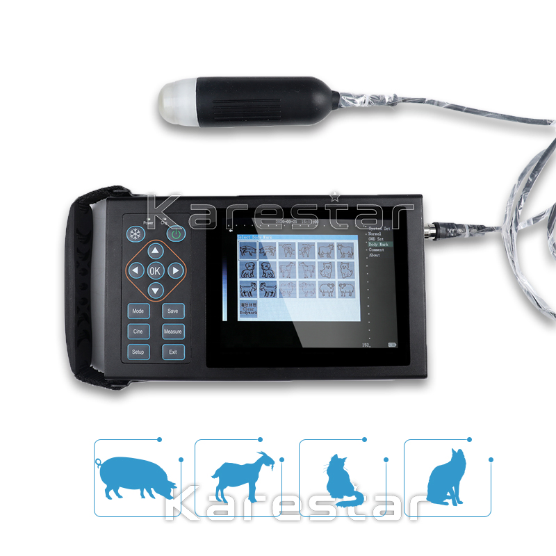 Máquina de ultrasonido veterinario digital portátil de mano para diagnóstico de animales, máquina de ultrasonido para ovejas