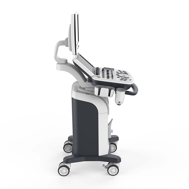 Tarjeta Médica Veterinaria Digital Móvil Cardiología Ob Gyn Máquina de Ultrasonido Doppler Color 3D 4D Escáner de Ultrasonido con Impresora