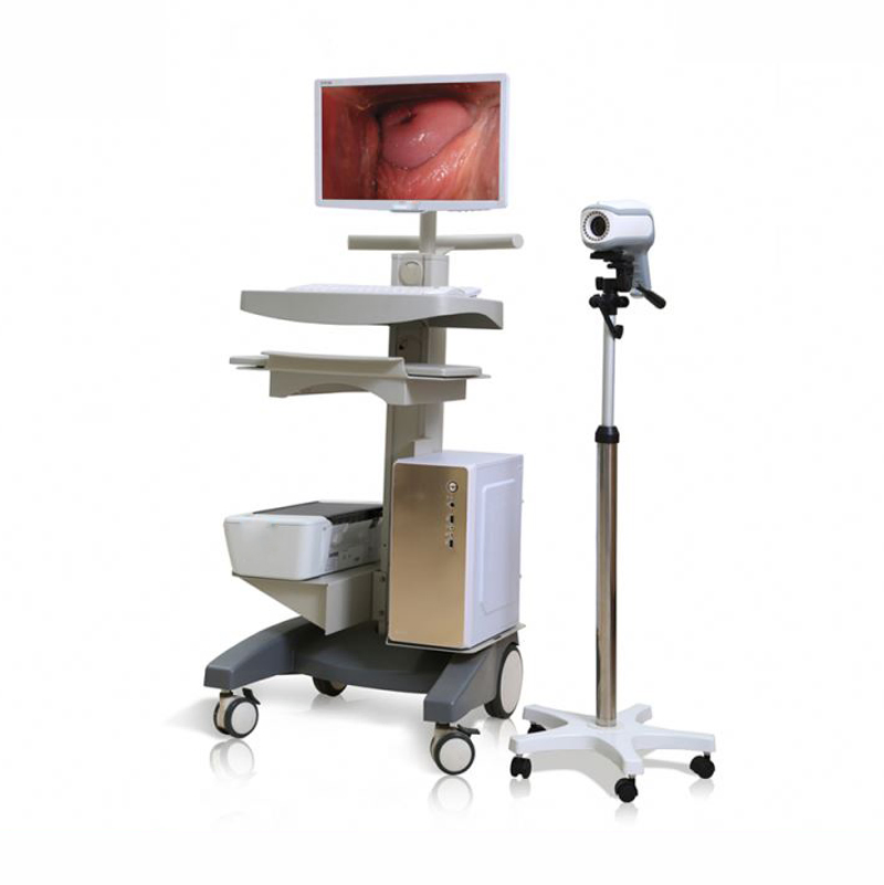 DC-N3 Mindray 4D Máquina de Ultrasonido Sistema de Imágenes Generales Ob/Gyn
