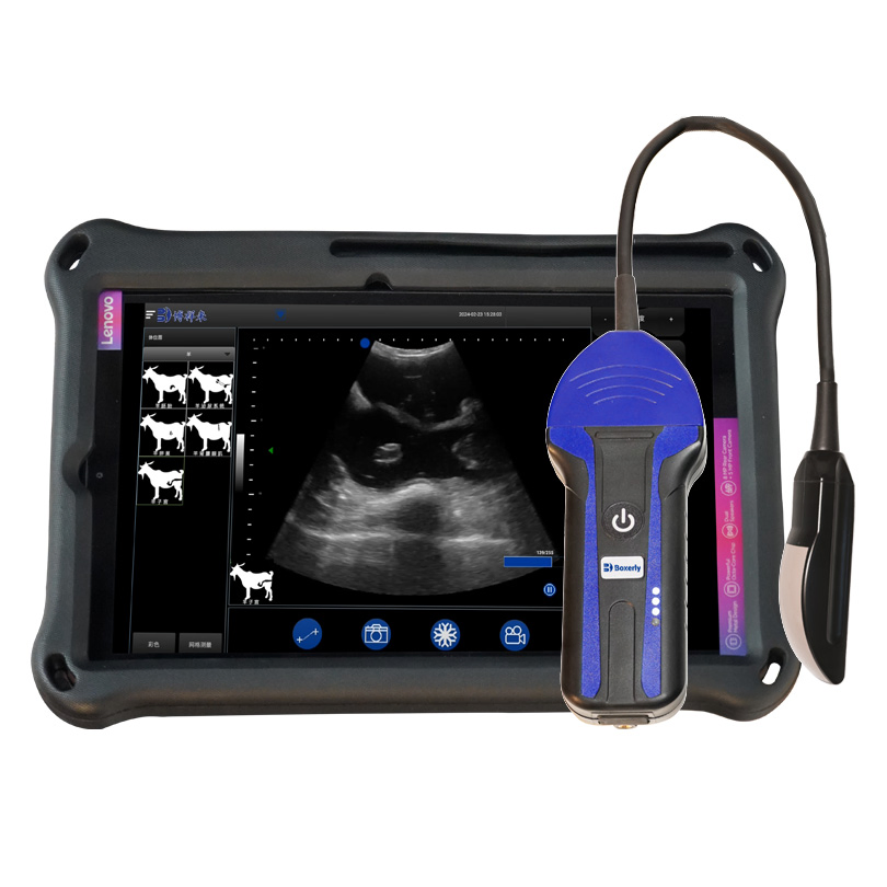 Bxl-S104 Mejor máquina de ultrasonido veterinario, ultrasonido para ganado y equinos en venta