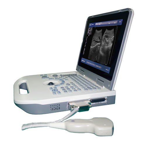 Equipo de diagnóstico médico veterinario digital completo, escáner ultrasónico portátil para laptop