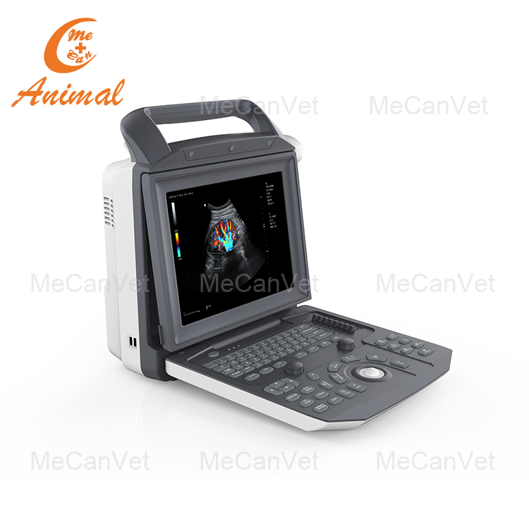 Máquina de ultrasonido Doppler color convexo para diagnóstico médico en hospital veterinario con sonda cardíaca