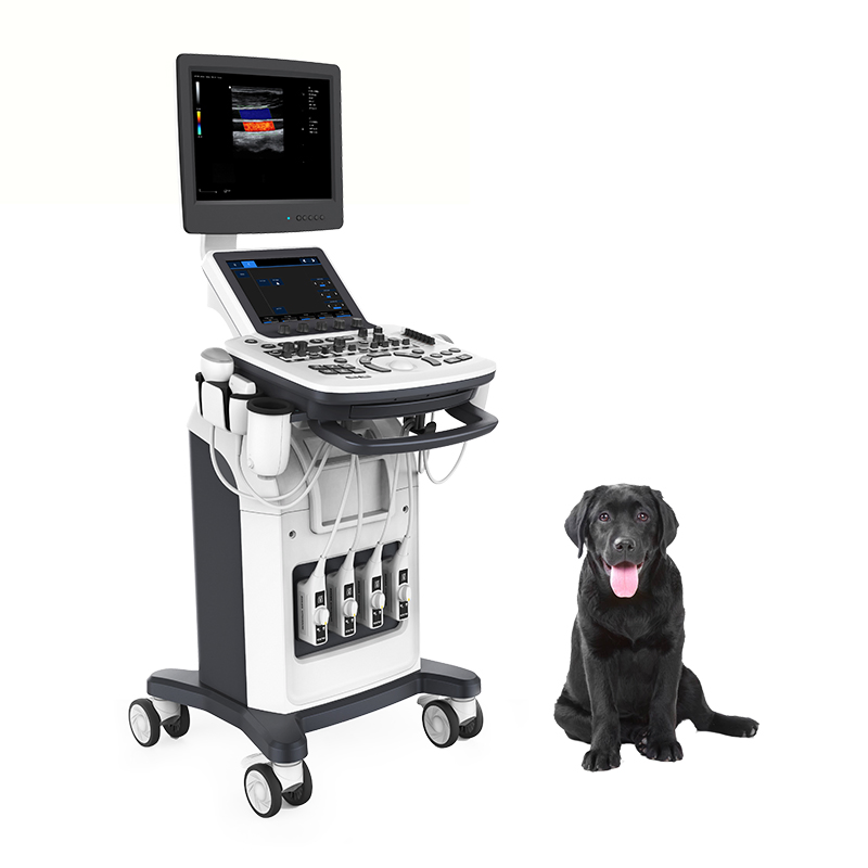 Tarjeta Médica Veterinaria Digital Móvil Cardiología Ob Gyn Máquina de Ultrasonido Doppler Color 3D 4D Escáner de Ultrasonido con Impresora