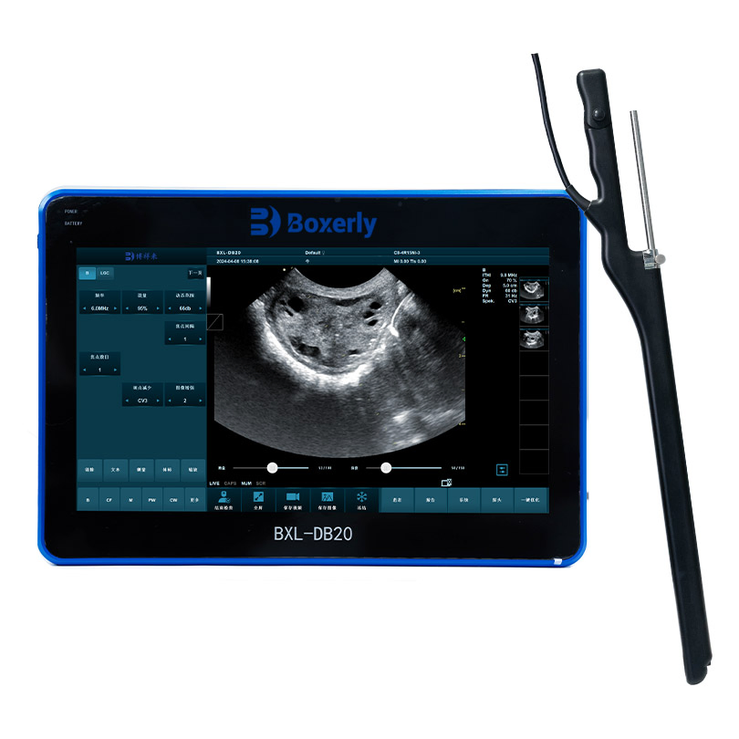 Bxl-Db20 Sistema de Ultrasonido Doppler Color Ecuestre para Transferencia de Embriones de Caballo