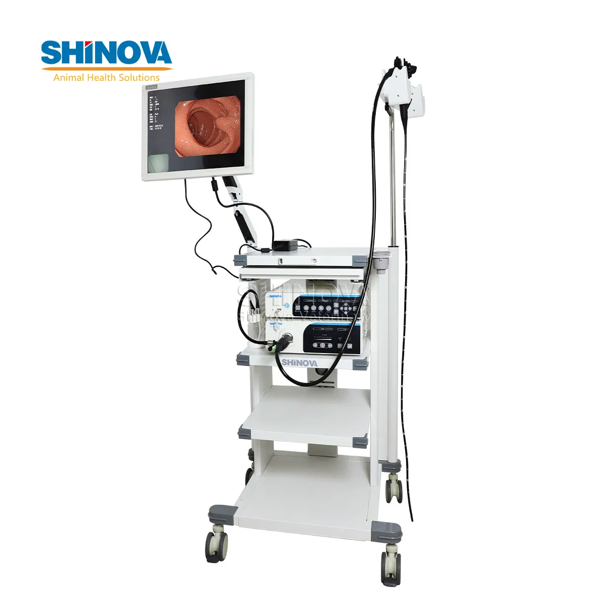 1.5-Meter Veterinary Endoscopy Tower System