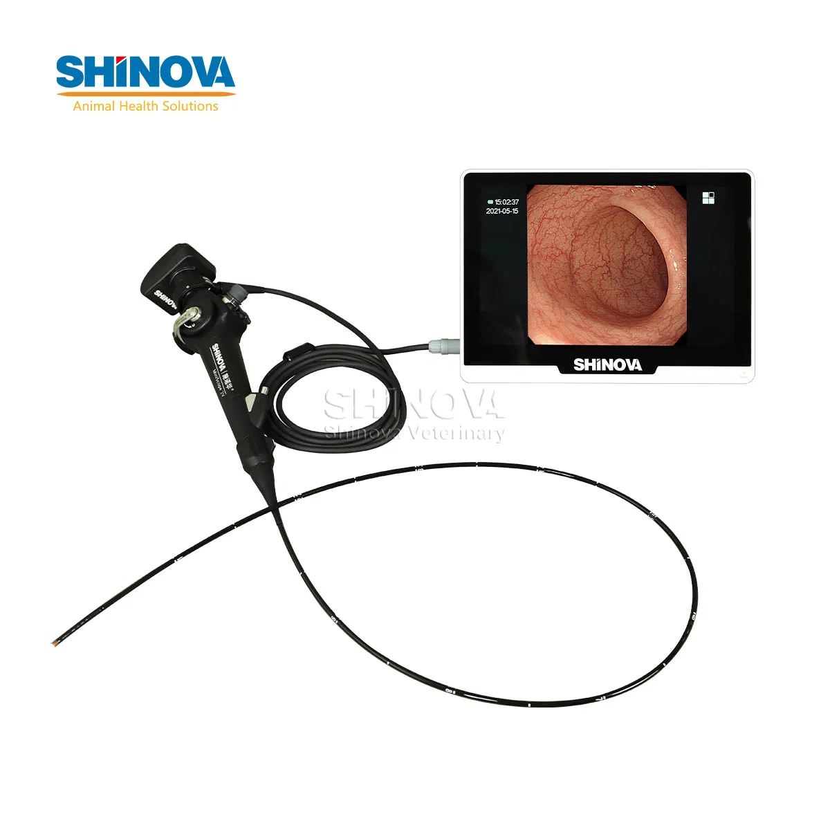 Portable Veterinary Video Endoscope System