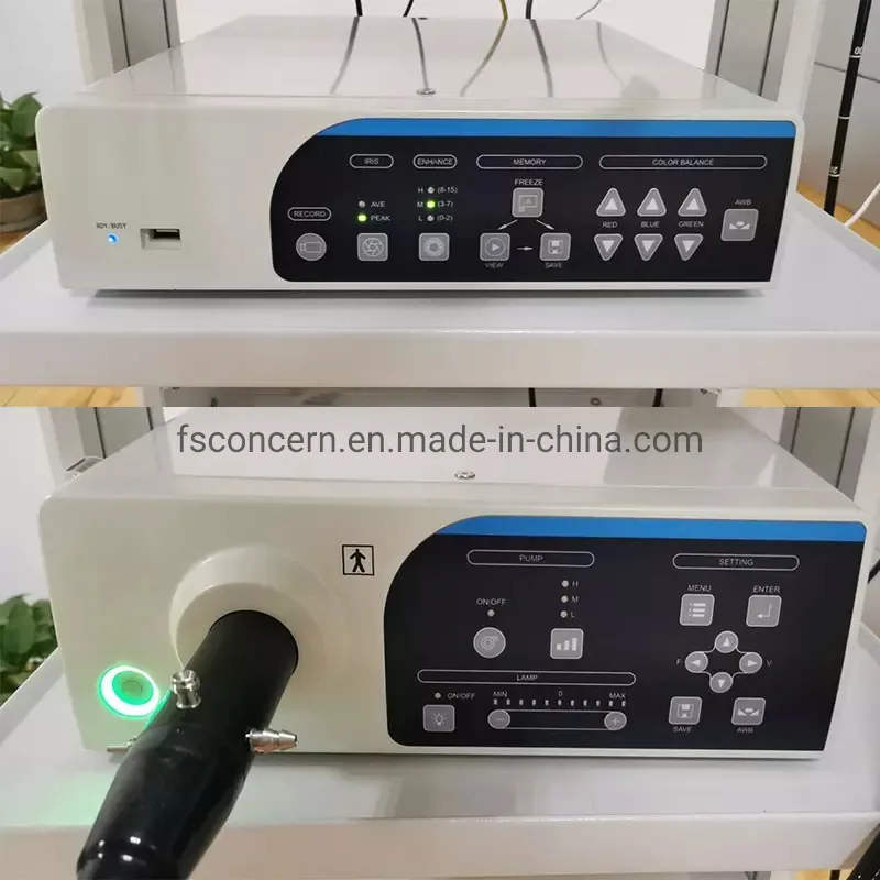 Endoscopy Component 2