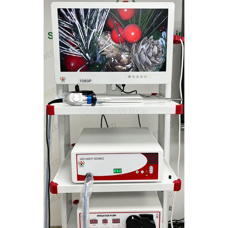 Endoscopy Camera Details 2