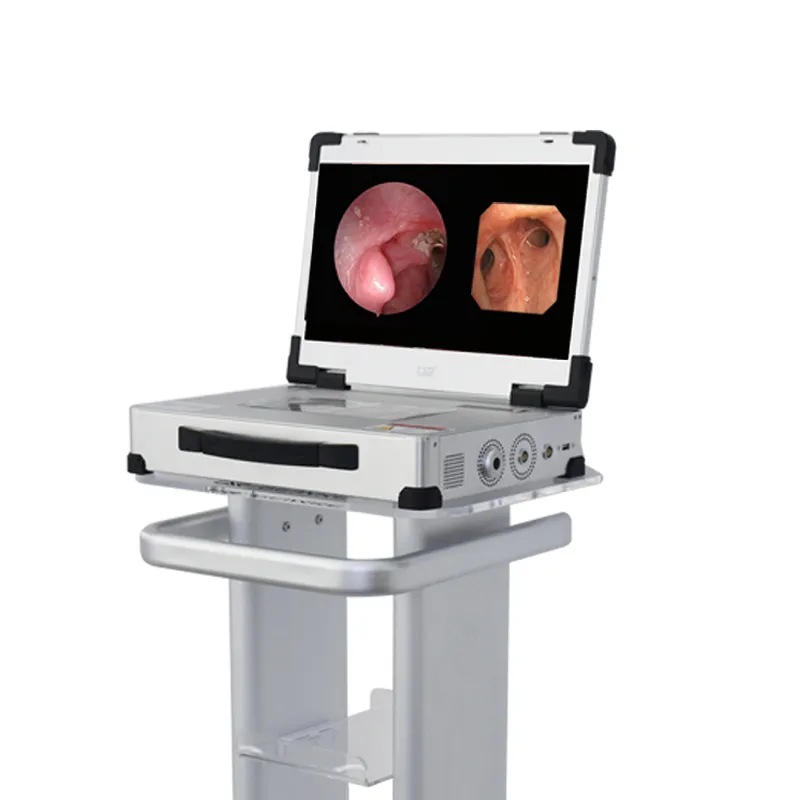 Endoscopy System 1