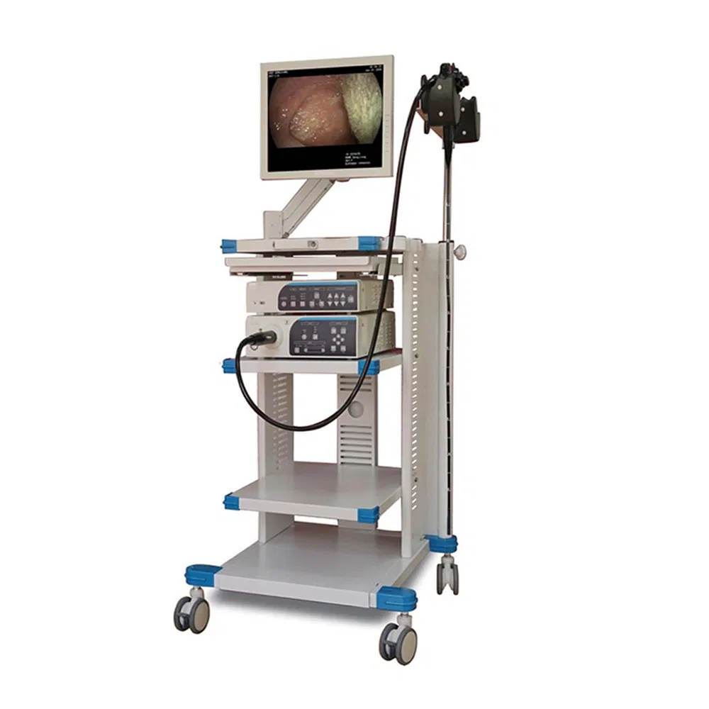 Factory Price Gastroscope Endoscopes for Feline Bronchoscopy Clinic Hospital Pet Video Endoscope