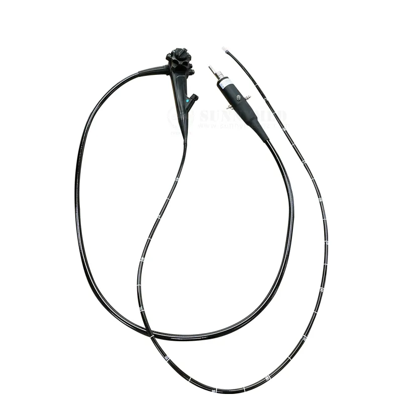 Endoscope Details 1