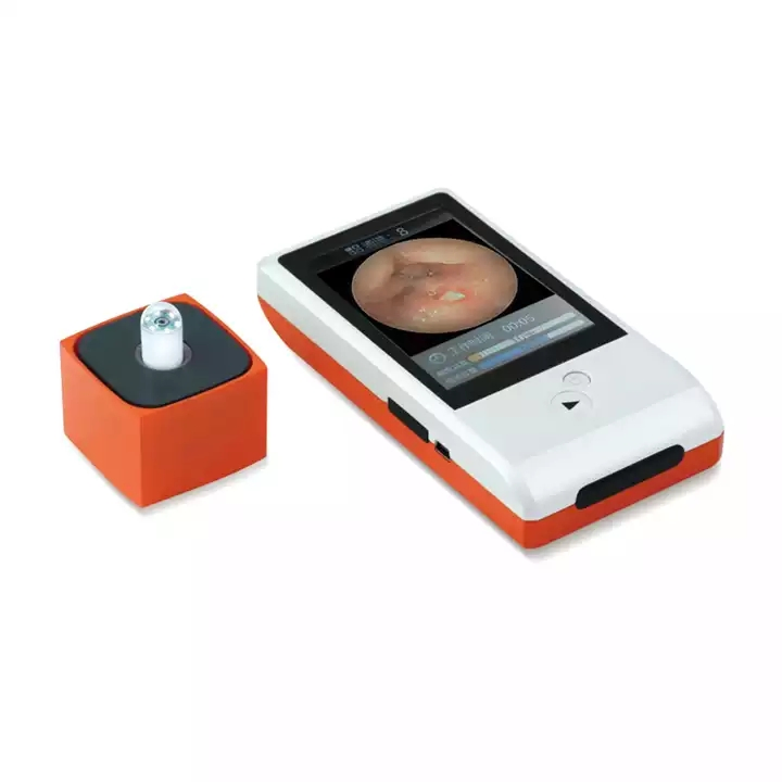 Medical Portable Capsule Endoscopy Systems for Diagnosis and Screening Small bowl Disease