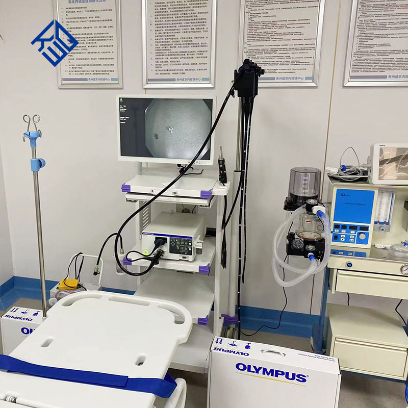 Gastroscope and Colonoscope Medical Gastrointestinal Endoscopy System