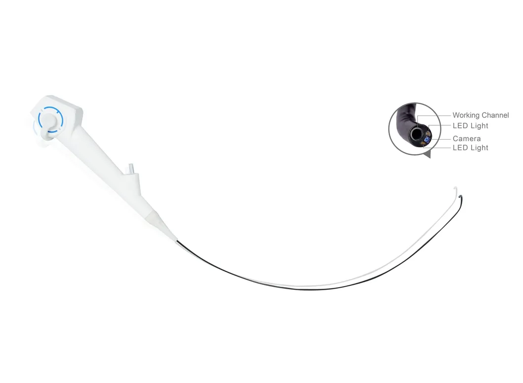 Flexible Endoscopic System