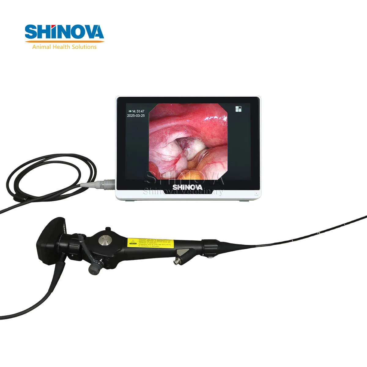 Medical Veterinary Instrument Vet Endoscopy System Video Endoscope for Animals Miniscope 2V