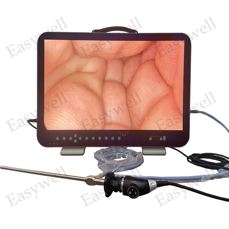 Easywell 3 in 1 4K Endoscopic Imaging System E43 for Medical Endoscope