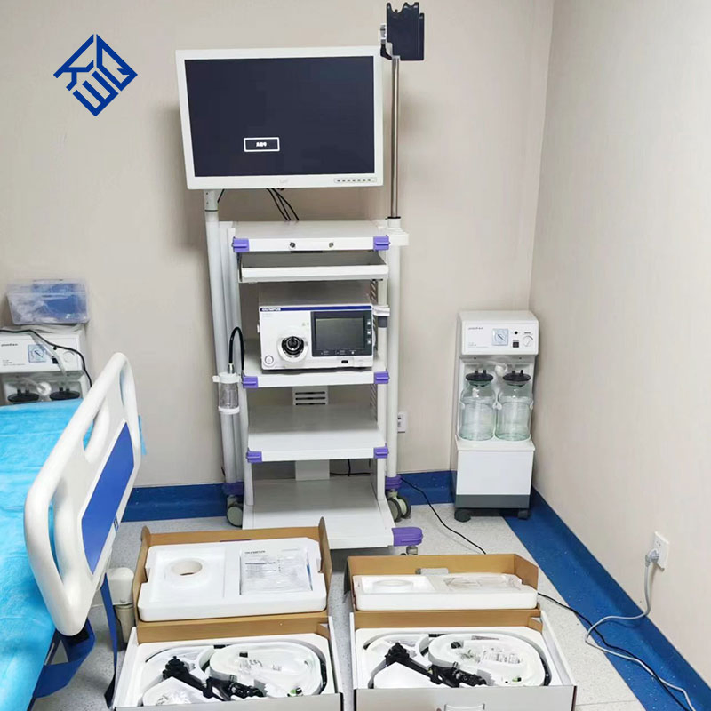 Medical Gastroscope and Colonoscope Video Gastroscope Endoscope Camera Endoscope System Gastrointestinal Endoscopy