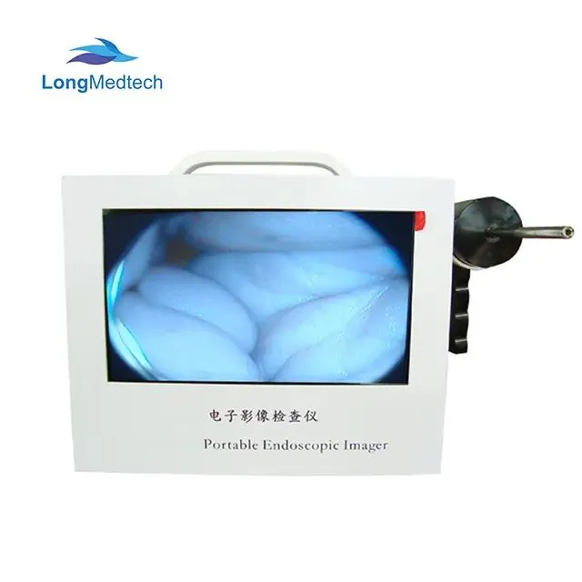 Endoscope Display 4