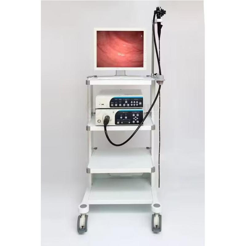 Cheap Price Endoscopy Camera System Colonoscope System Video Gastroscope System
