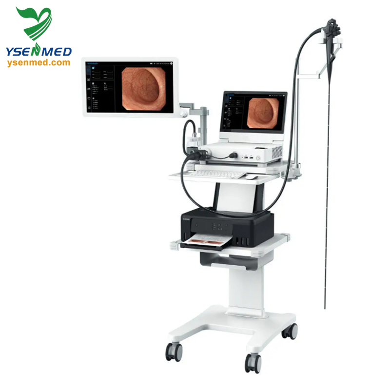 Ysnj-HP1315 Medical Equipment Video Gastroscope/Digestive Endoscopy System