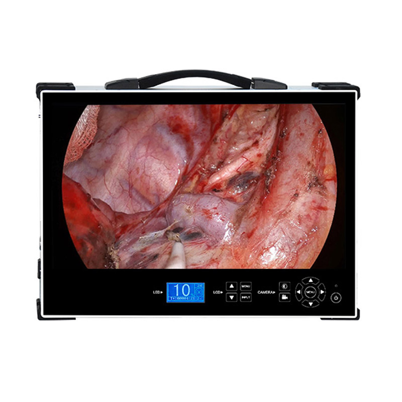 Endoscopic Imaging Wireless Endoscope Camera Medical Endoscopy System