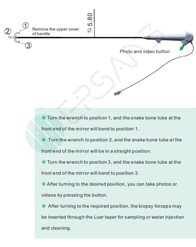 Medical Portable USB Gastrointestinal Endoscopy Camera Flexible Colonoscopy System for Animals