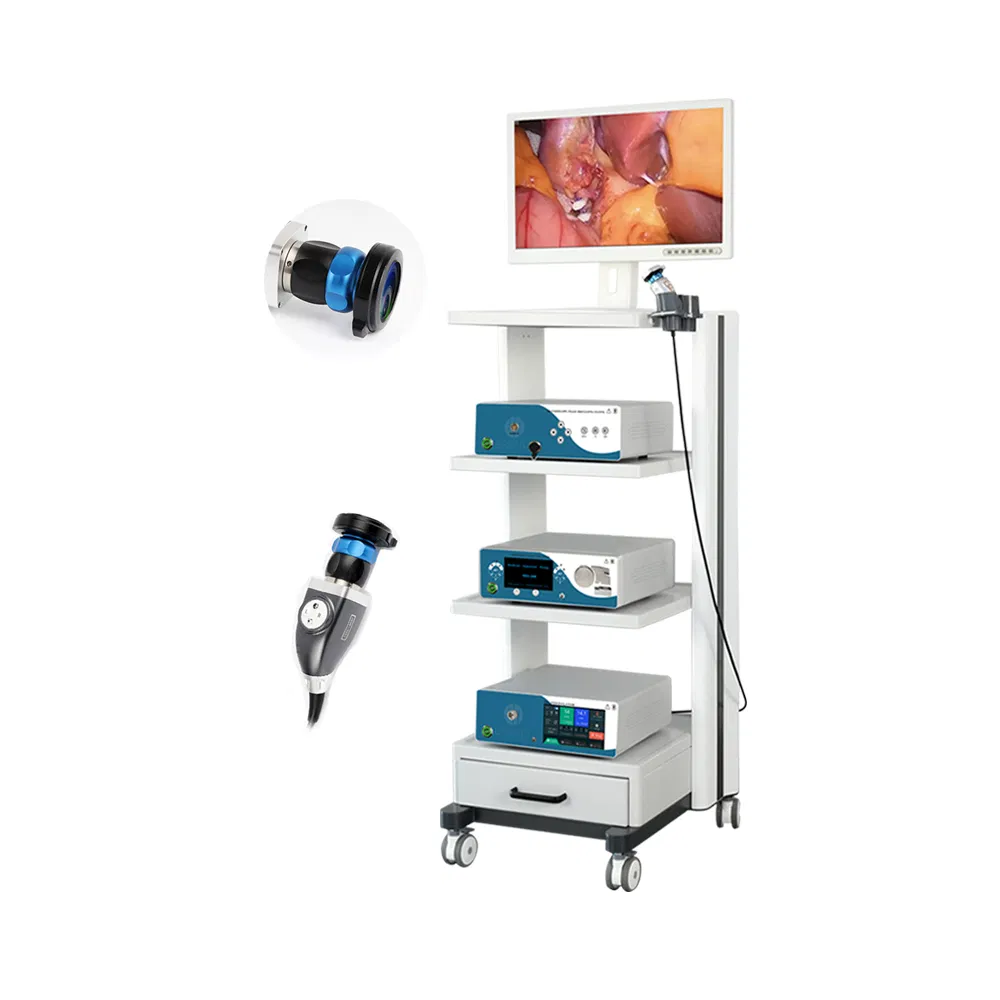 Medical Video Endoscopy Machine Gastroscope Colonoscope Veterinary Dog Endoscopy Camera System