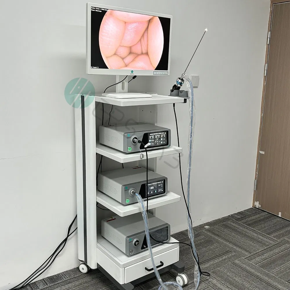 Medical Equipment Ent Endoscope Laparoscope HD Image Medical 1080P Endoscope Camera System