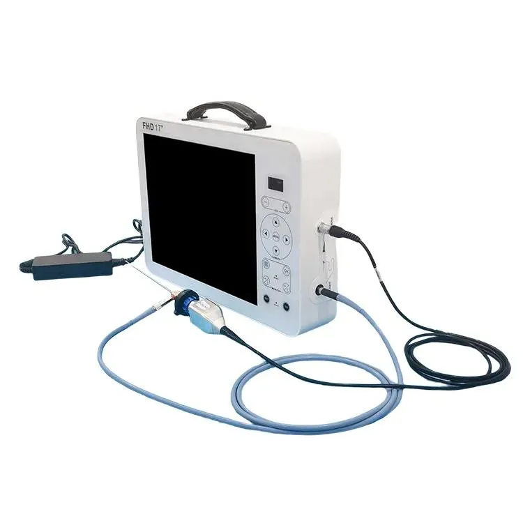 Endoscopy System 1
