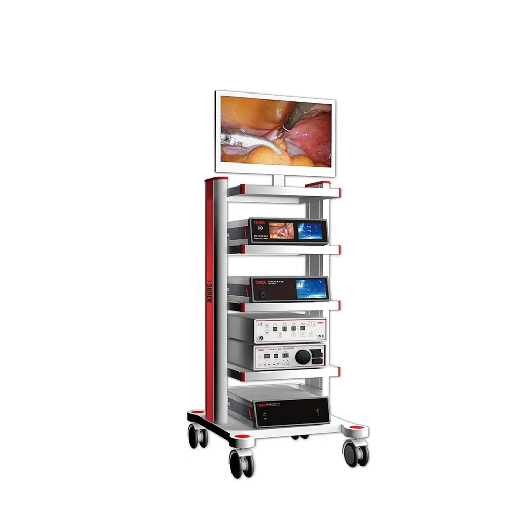 Endoscopy System Overview