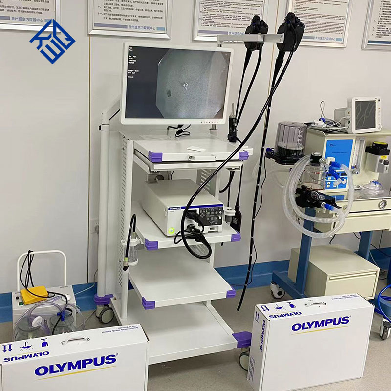 Medical Gastroscope and Colonoscope Video Gastroscope Endoscope Camera Endoscope System Gastrointestinal Endoscopy