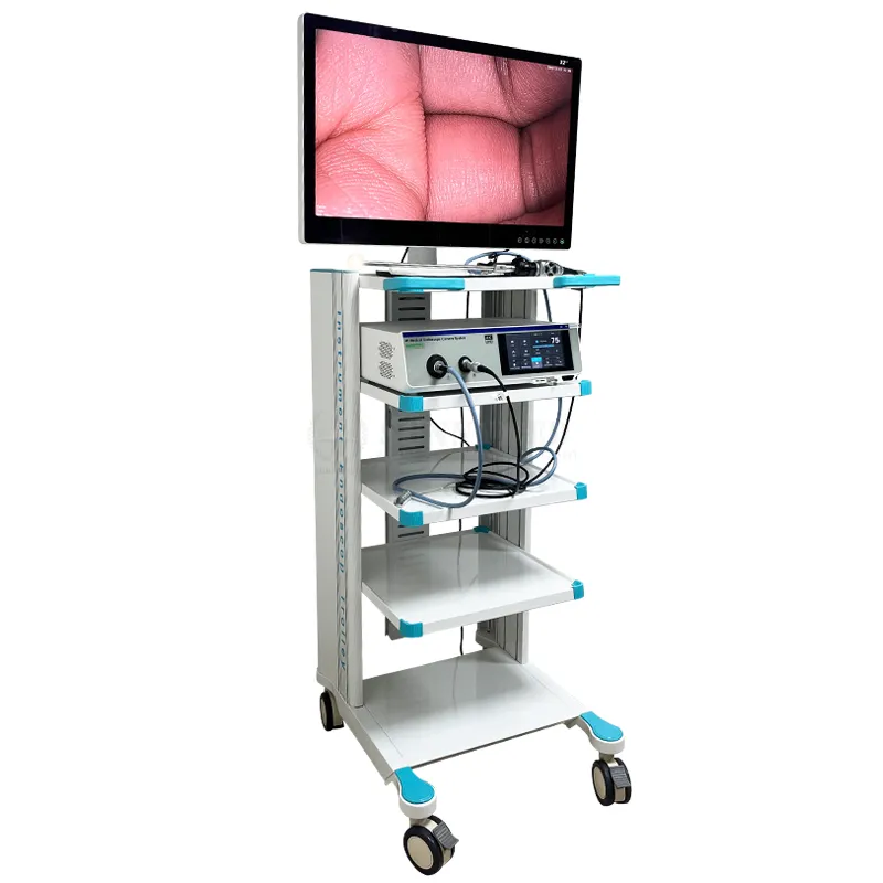 Endoscopy Tower System