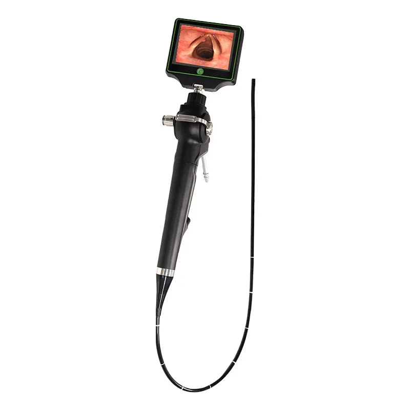 Video Endoscope Main View