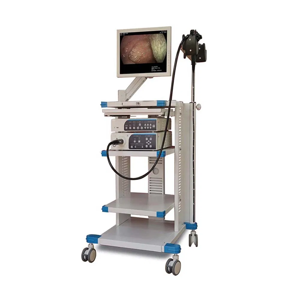 Low Price Endoscopy Flexible Video Gastrointestinal Endoscope Camera System with Light Source