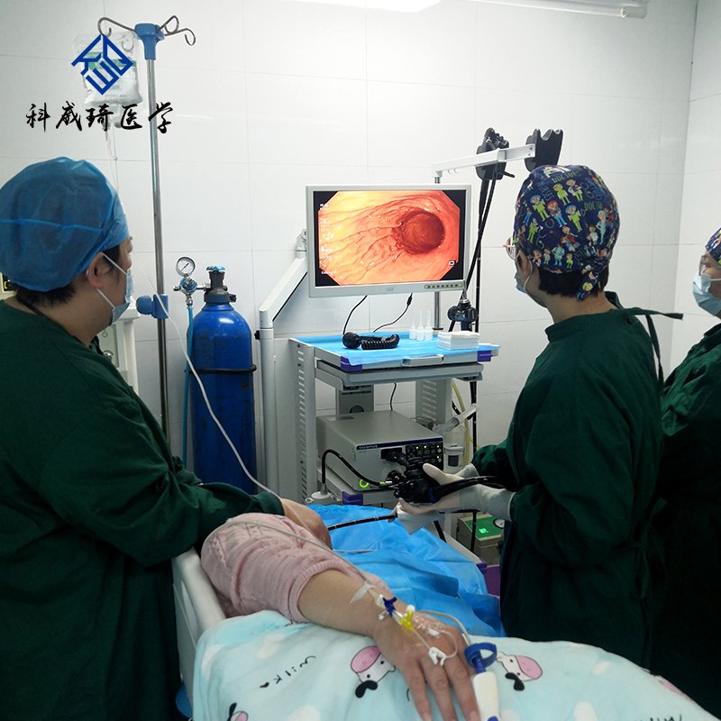 Medical Endoscopy System Olympus Electronic Gastroenteroscope