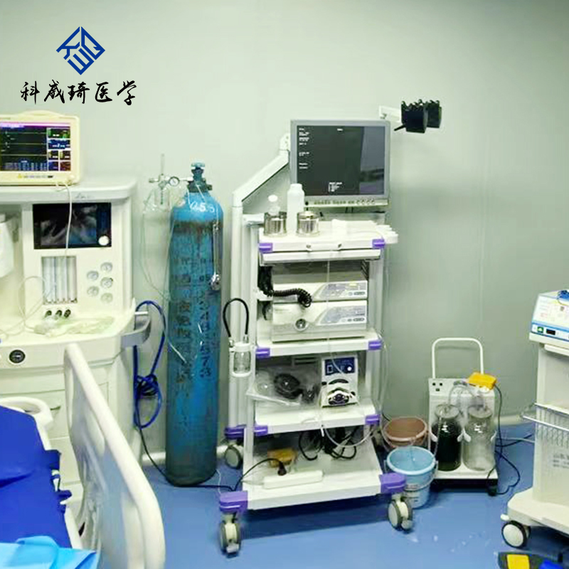 Olympus Electronic Gastrointestinal Endoscope System - High-Definition Medical Digestive Endoscopy Equipment