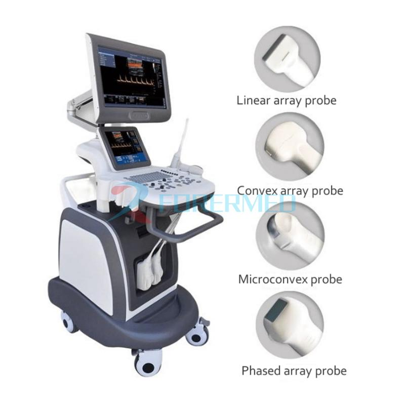 15 HD Color Doppler Main Screen 3D/4D Imaging Technology Trolley Color Ultrasound