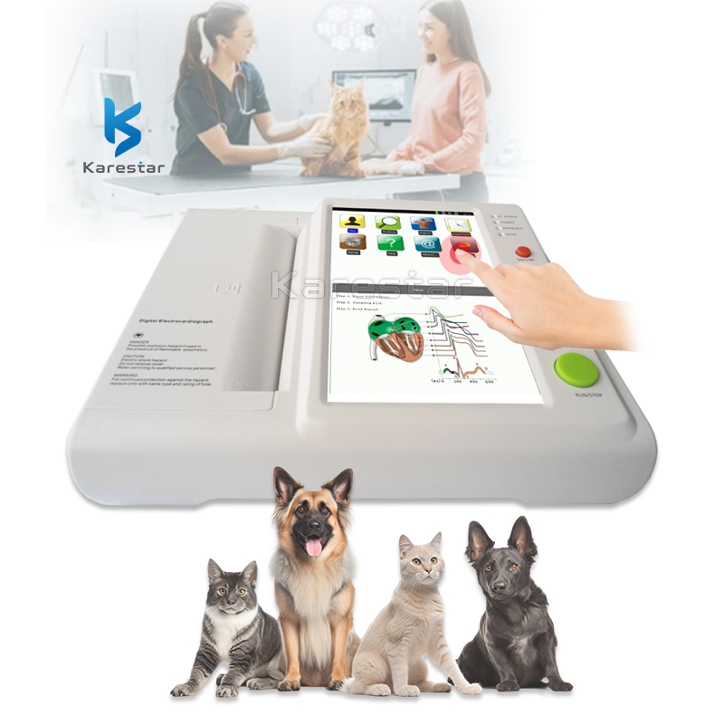 12 Channel ECG K-Eb12 Touch Screen Veterinary Handheld ECG Device