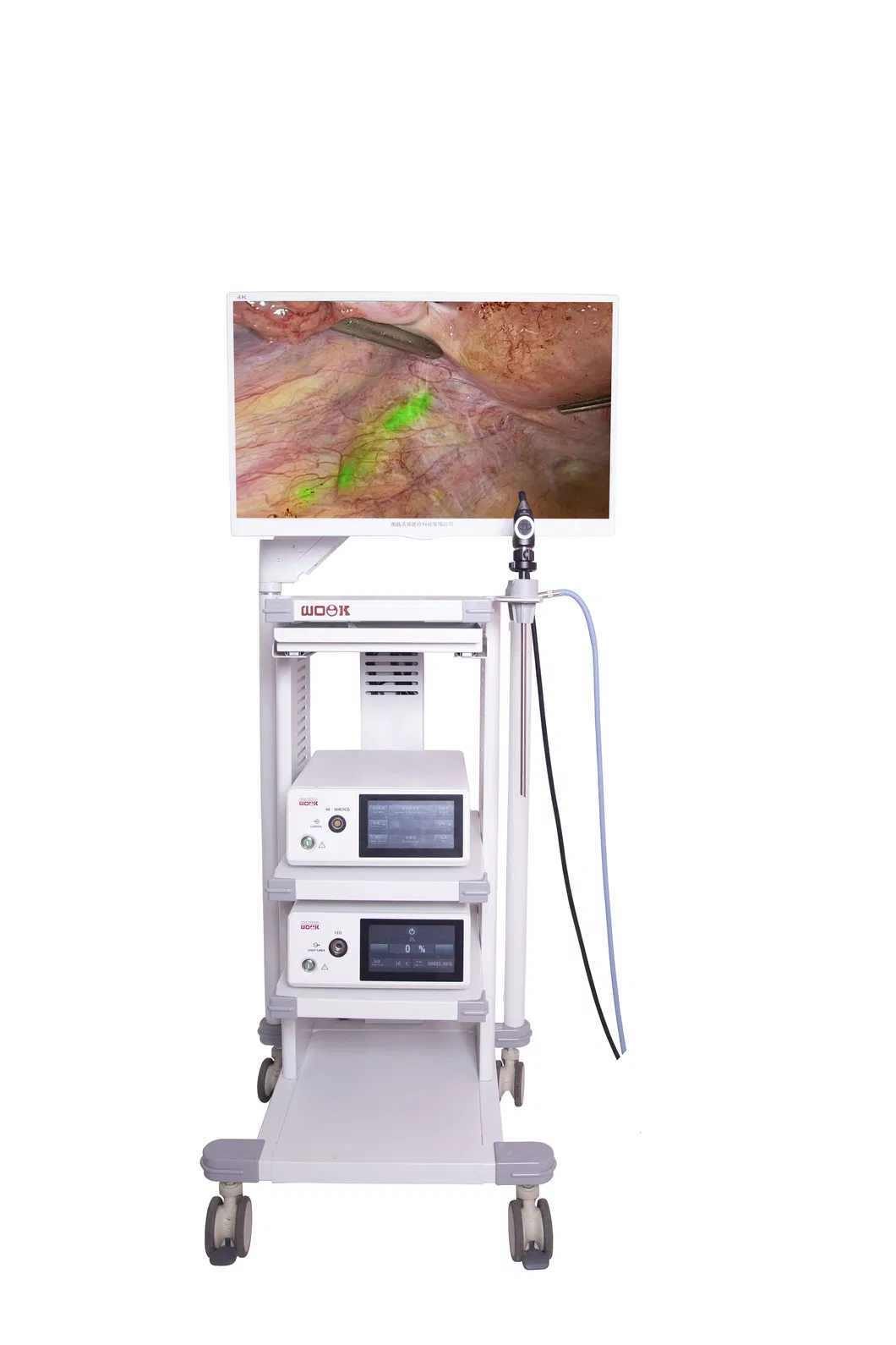 4K Fluorescence Endoscopy System